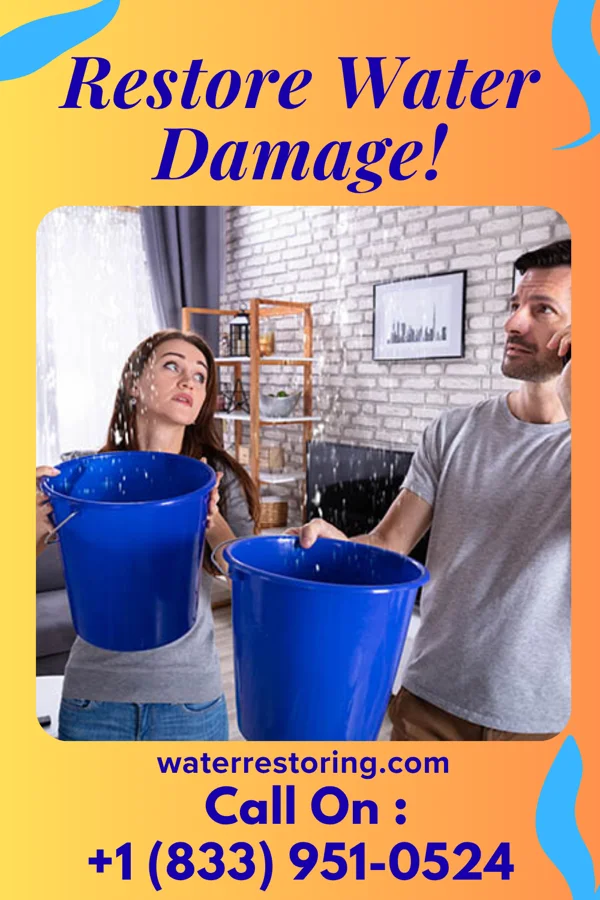 water restoration Citywide Disaster Cleanup Network Bascom